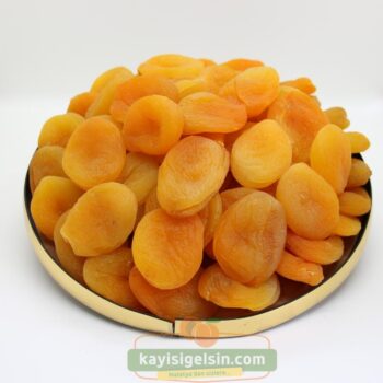 Malatya Sarı Kayısı Jumbo Boy