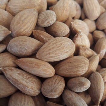 Malatya Kavrulmuş Gün Kurusu Kayısı Çekirdeği