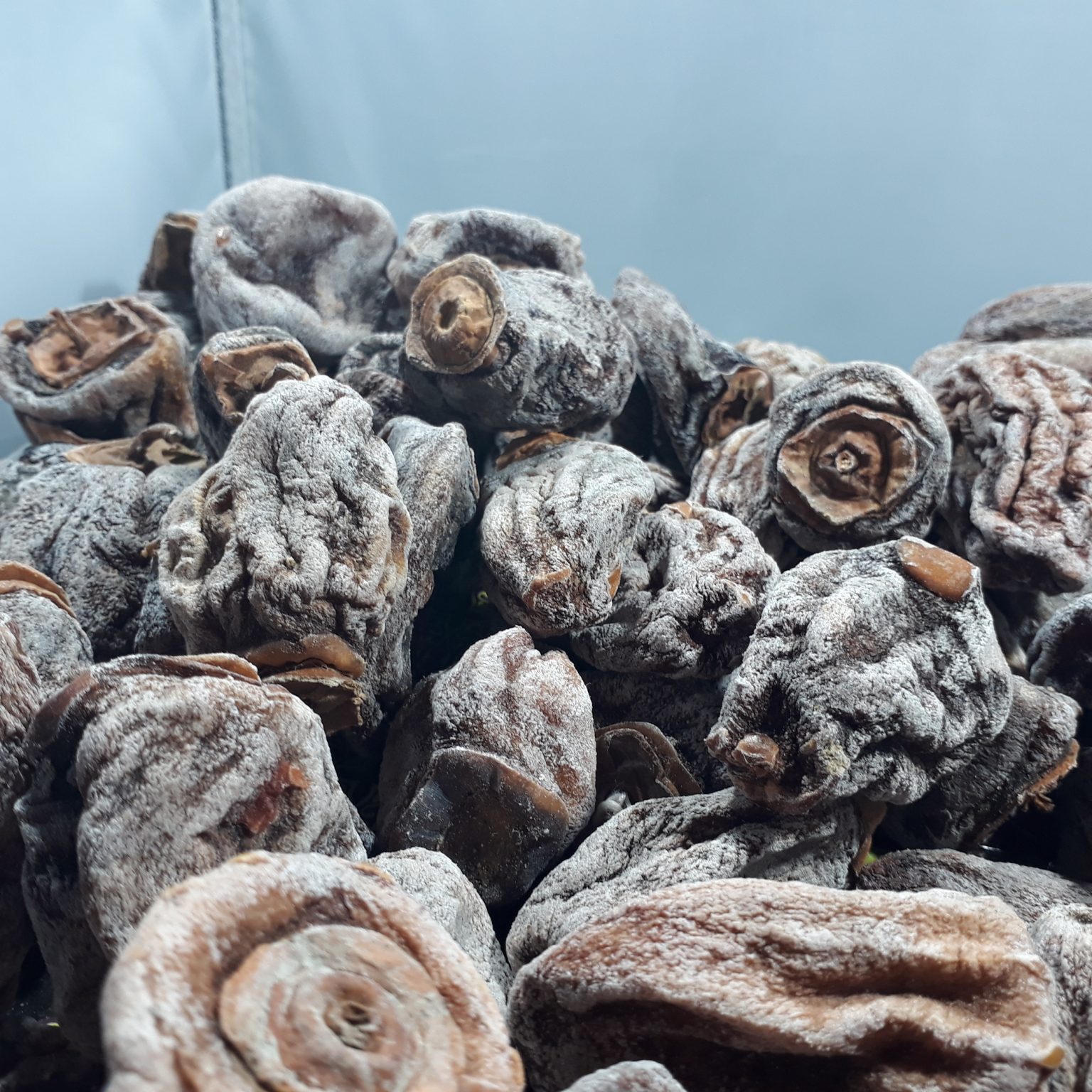 cennet elması kurusu