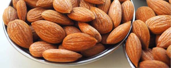 kayisi-cekirdeginin-arasindaki-farklar-blog