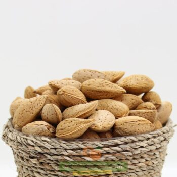 Doğal Acı Badem (Kabuklu) Kg