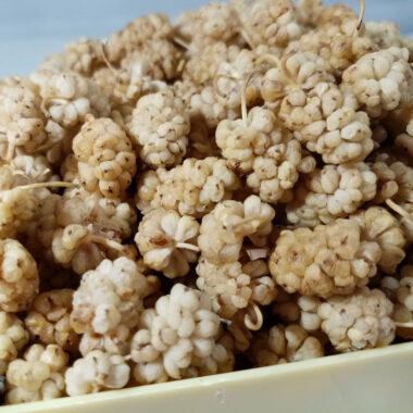 Kuru Meyve Nasıl Saklanır.