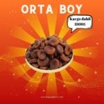 orta-boy-gün-kurusu-kayisi-kurusu-kampanya