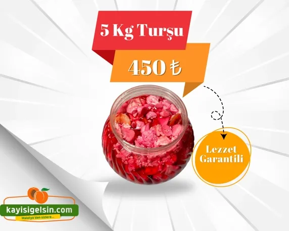 Ev Yapımı Karışık Turşu