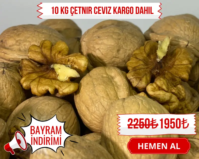 Ceviz Kampanya