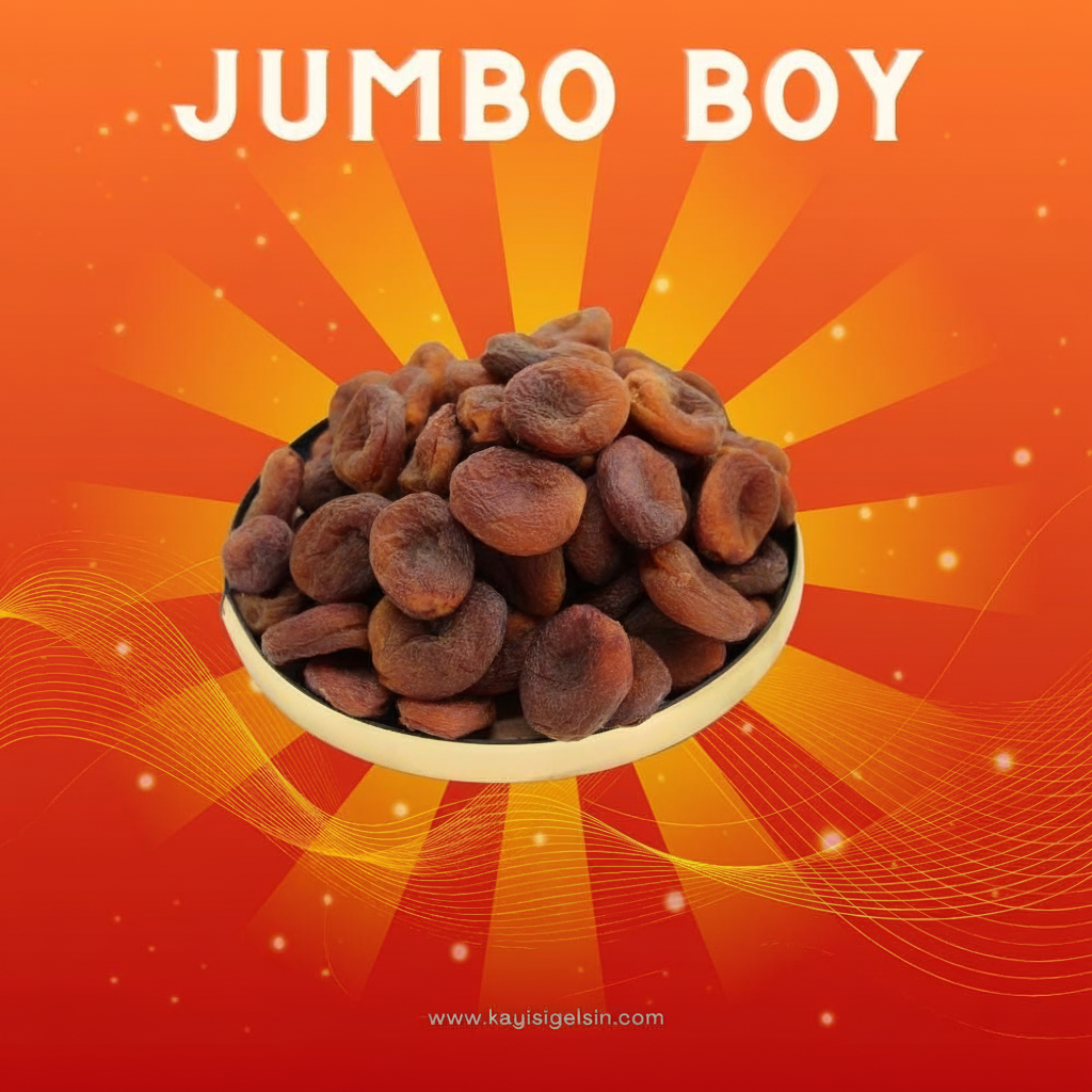 jumbo-boy-gun-kurusu-1