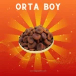 orta-boy-gun-kurusu-1