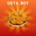 orta-boy-sari-kayisi-kurusu-1