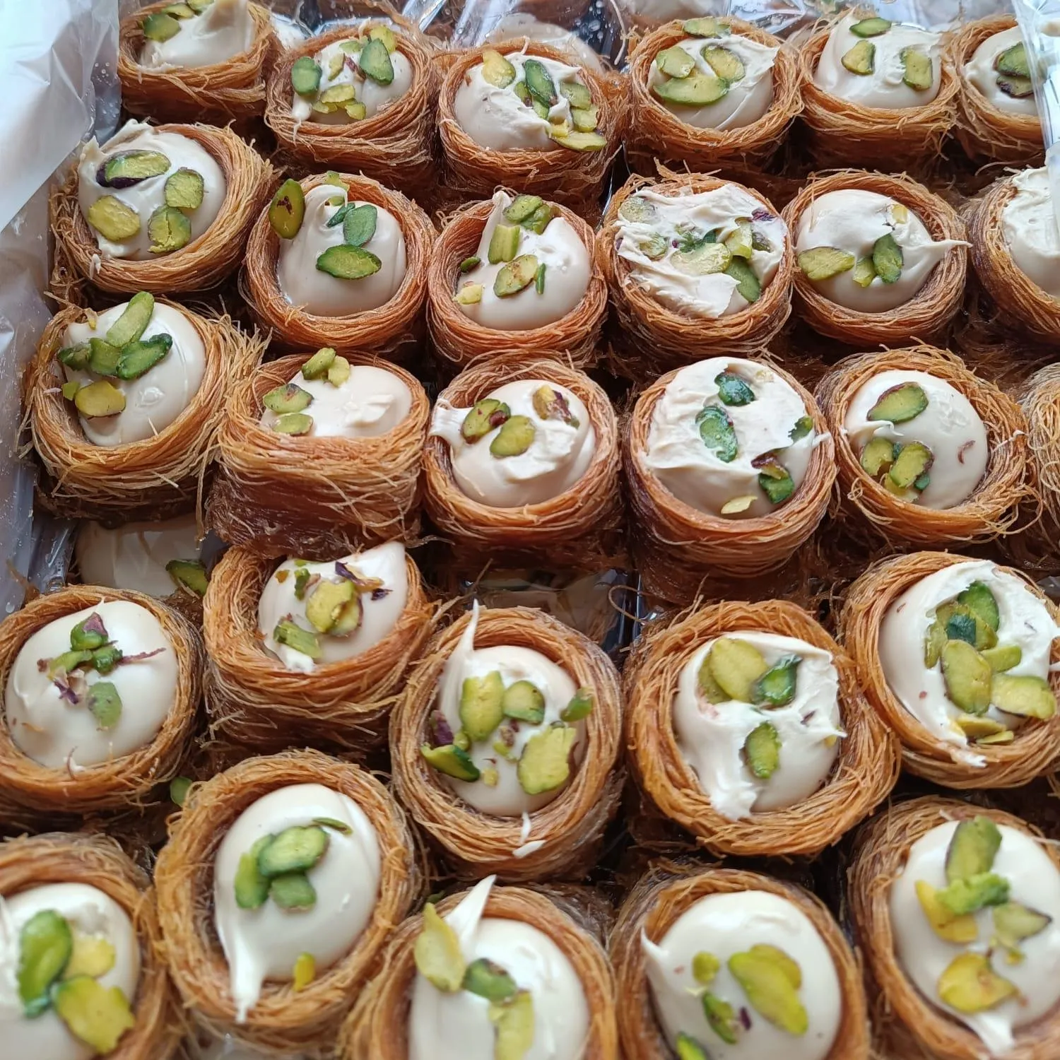 kremali-bulbul-yuvasi-siparis-malatya