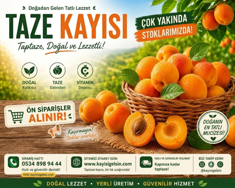 taze-kayisi-slider taze-kayisi-slider