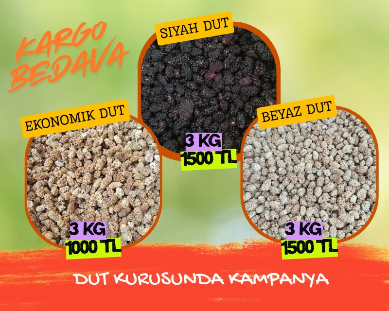 Dut Kurusu Malatya