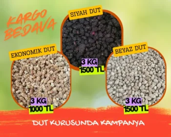 Dut Kurusu Çeşitleri Kampanya