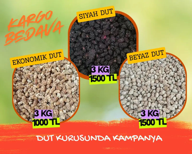 kg dut kurusu kampanya slider2(1