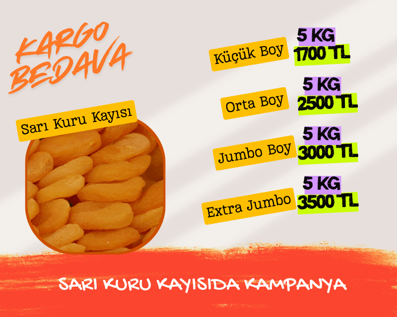 sarı kuru kayısıda kampanya slider(1) sarı kuru kayısıda kampanya slider(1)