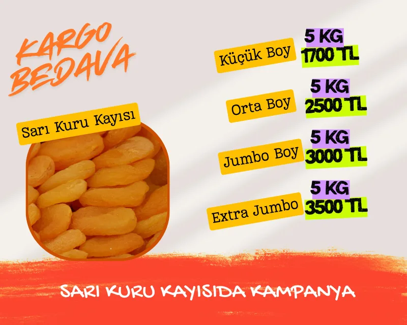 sarı kuru kayısıda kampanya slider(1) sarı kuru kayısıda kampanya slider(1)